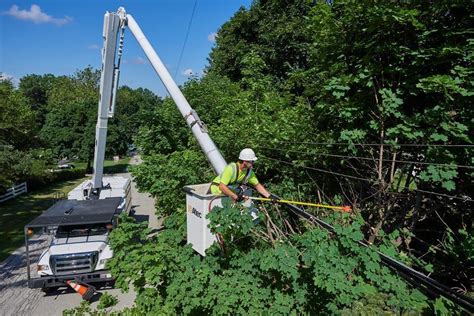 Vegetation Management 